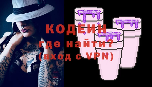 ПСИЛОЦИБИНОВЫЕ ГРИБЫ Ельня