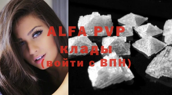 ПСИЛОЦИБИНОВЫЕ ГРИБЫ Ельня