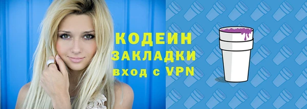 ПСИЛОЦИБИНОВЫЕ ГРИБЫ Ельня