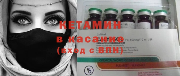 ПСИЛОЦИБИНОВЫЕ ГРИБЫ Ельня