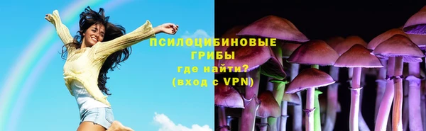 ПСИЛОЦИБИНОВЫЕ ГРИБЫ Ельня