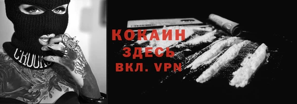 ПСИЛОЦИБИНОВЫЕ ГРИБЫ Ельня