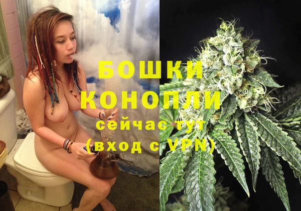 ПСИЛОЦИБИНОВЫЕ ГРИБЫ Ельня