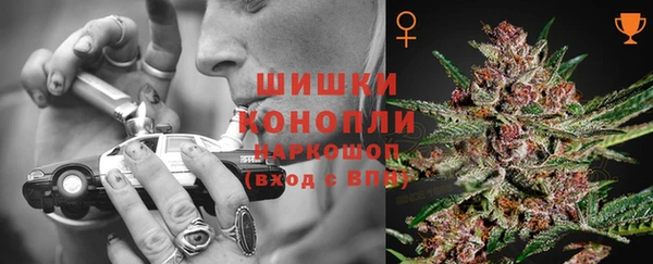 ПСИЛОЦИБИНОВЫЕ ГРИБЫ Ельня