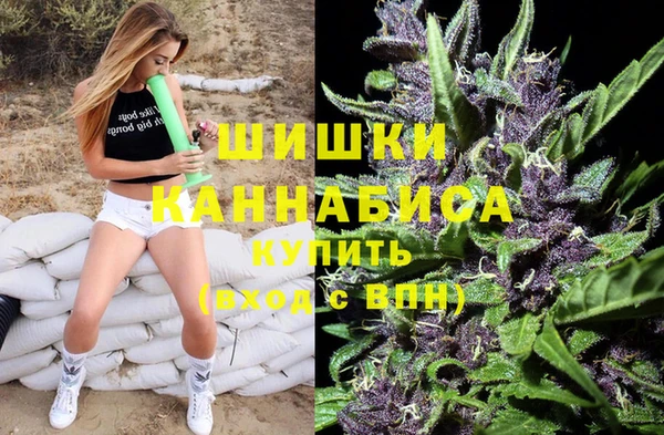 ПСИЛОЦИБИНОВЫЕ ГРИБЫ Ельня