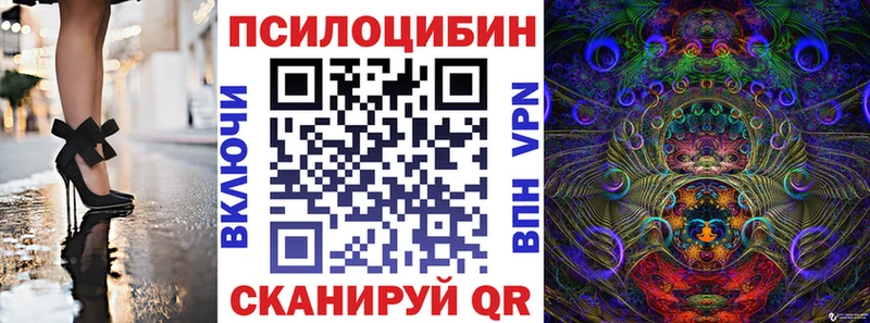 Псилоцибиновые грибы мухоморы  как найти закладки  mega ссылки  Сочи 